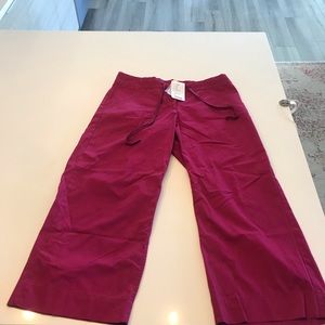 Anthropologie Capri pants
